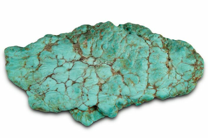 Teal Blue Chilean Turquoise Nugget ( grams) #325519
